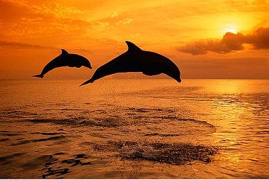 中世纪铁匠铺模拟经营游戏《铁匠大师》现已发售！