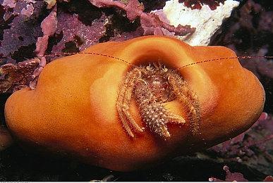 《哥谭骑士》测试内容情报曝光 需要硬盘空间86GB