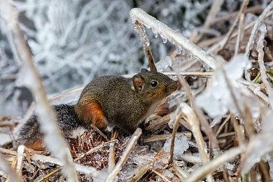 3DM速报：EA光荣合作狂野之心公布，《碧海黑帆》跳票至明年三月